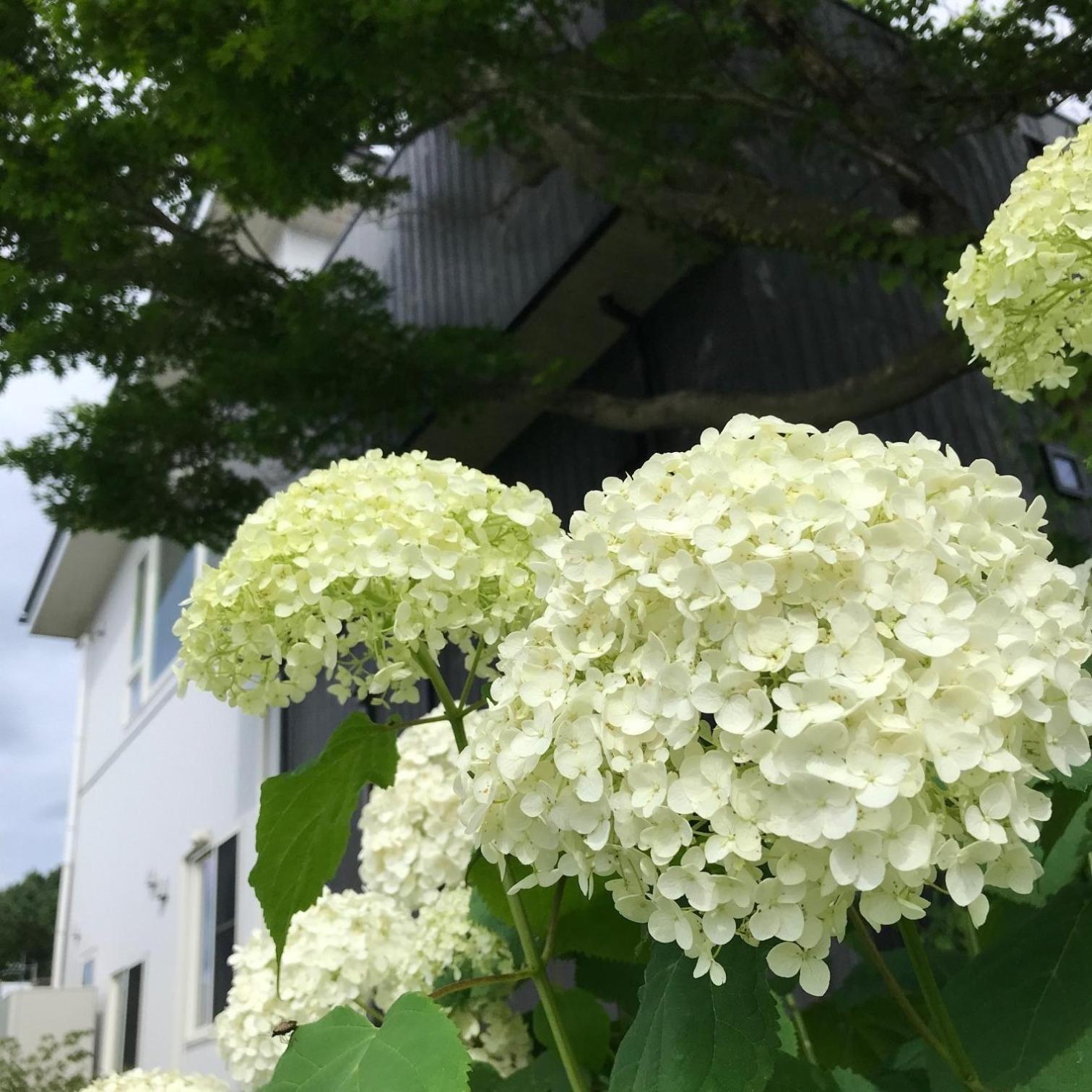 Sweet Villa Takasama - Vacation Stay 11775 Fujiyoshida Buitenkant foto