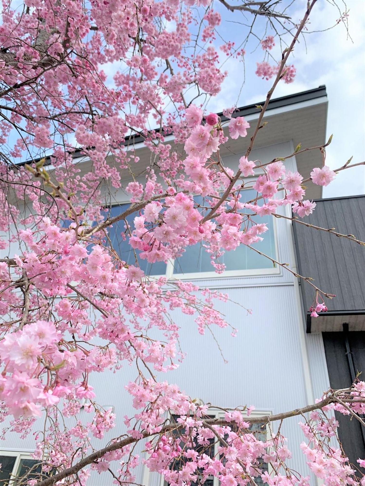 Sweet Villa Takasama - Vacation Stay 11775 Fujiyoshida Buitenkant foto
