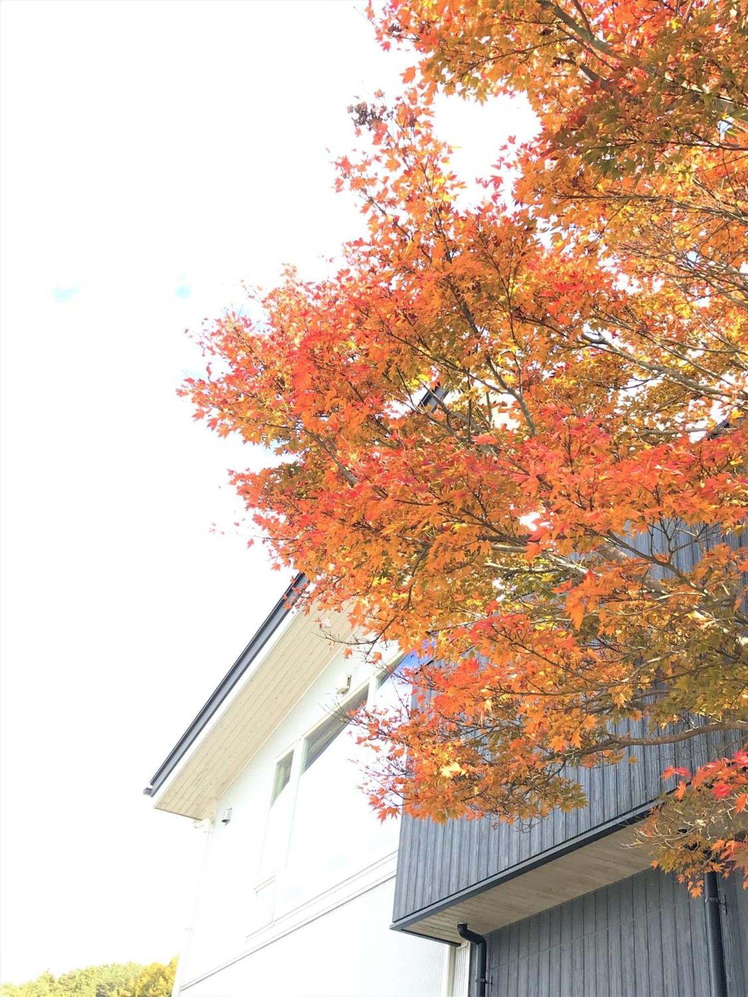 Sweet Villa Takasama - Vacation Stay 11775 Fujiyoshida Buitenkant foto